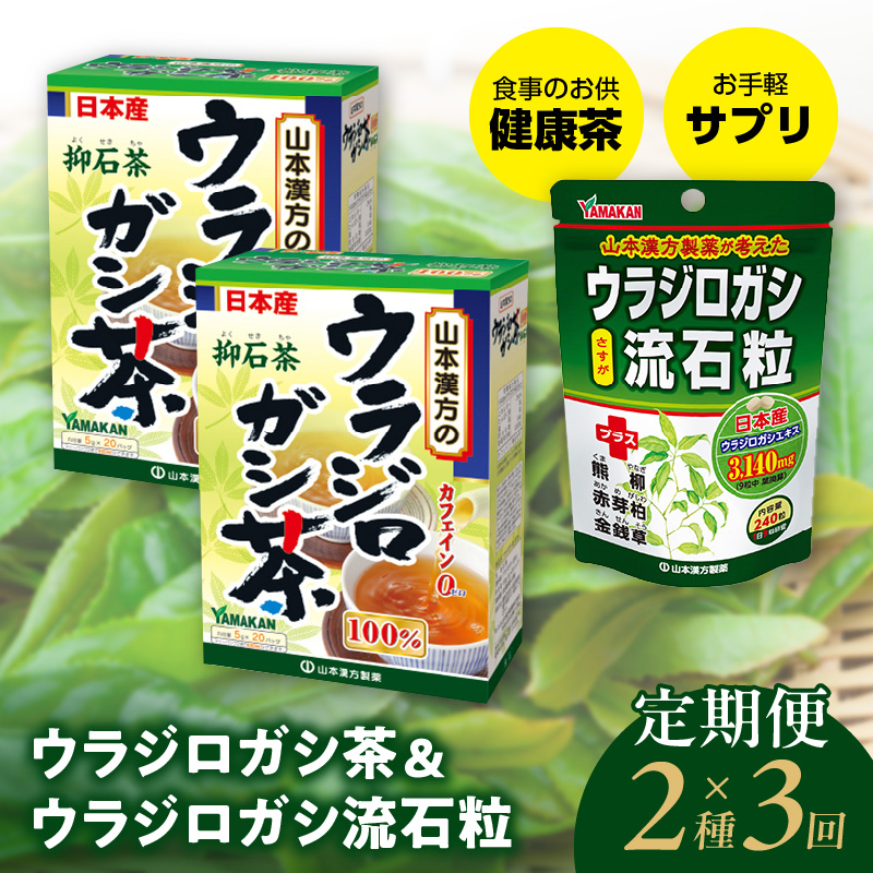 ＜3ヶ月連続定期便＞ウラジロガシ茶＆ウラジロガシ 流石粒