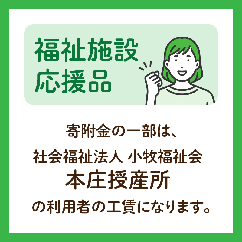 ★福祉施設応援品★ オリジナルクリアファイルセット（３枚入り）