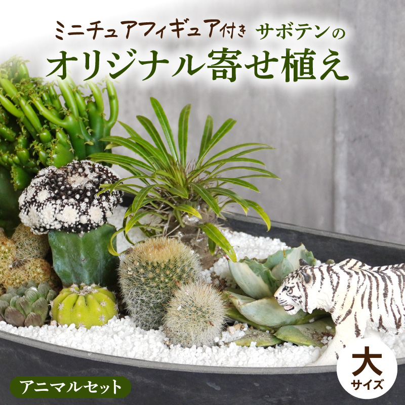 サボテンのオリジナル寄せ植え（大）【アニマルセット】