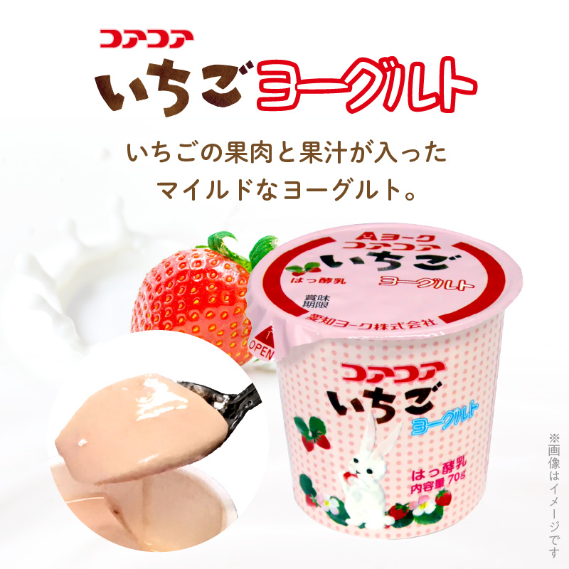 【6ヶ月定期便】愛知ヨーク　コアコアいちご・コアコアりんご　20個入