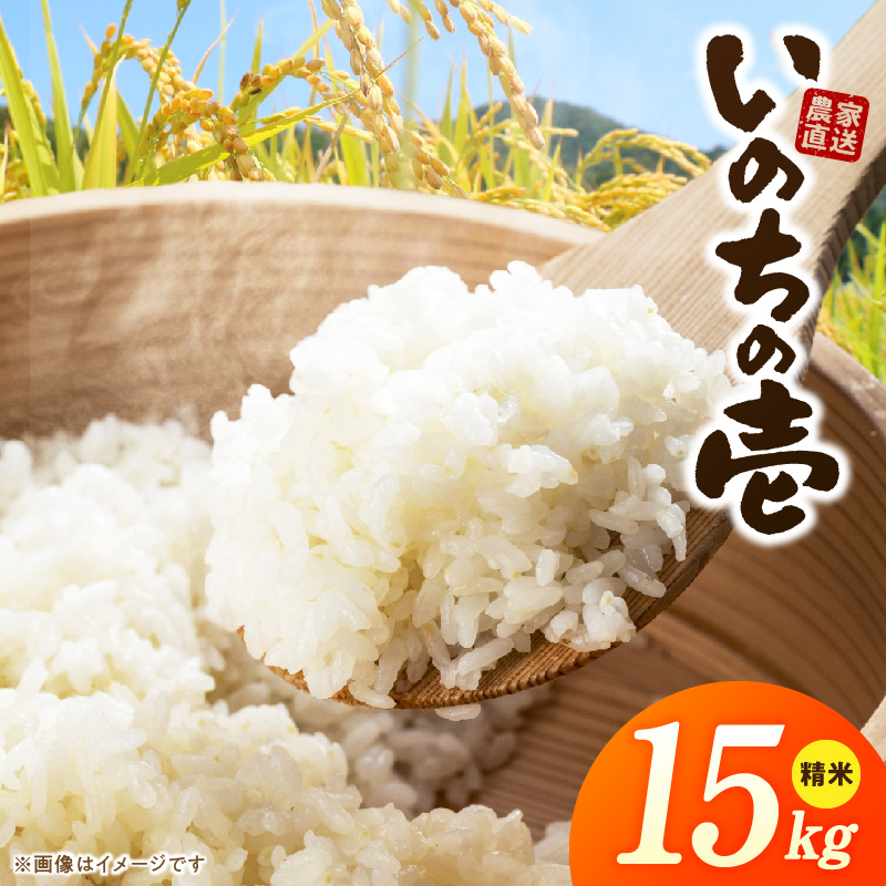 R7年産　「いのちの壱」（15kg）＜農家直送＞［208K11］
