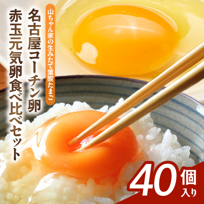 【山ちゃん家の生みたて葉酸たまご】名古屋コーチン卵・赤玉元気卵 食べ比べセット（各20個 合計40個入り）