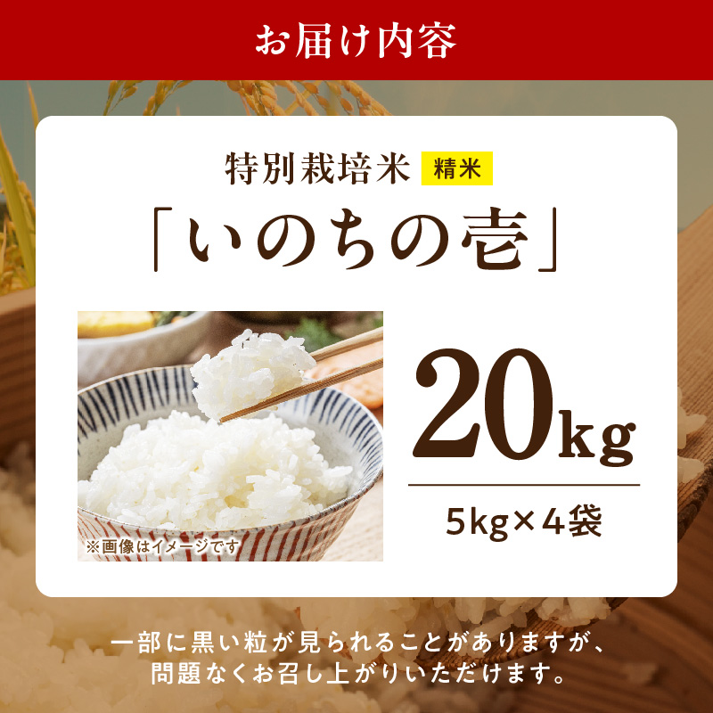 【R8年産新米 先行受付】特別栽培米「いのちの壱」（20kg）＜農家直送＞［208K04］