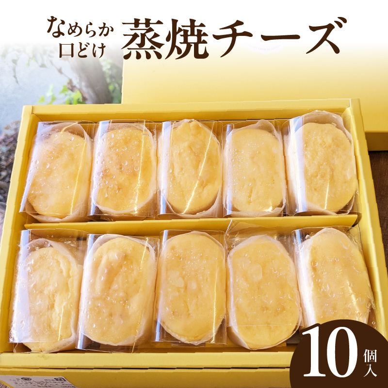 蒸焼チーズ　１０個入　チーズケーキ 冷凍 愛知県 小牧市 アンプチベアやぐま