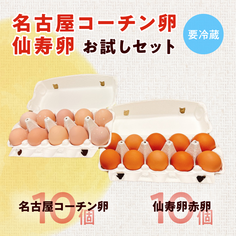 名古屋コーチン卵・仙寿卵お試しセット(各10個入り)