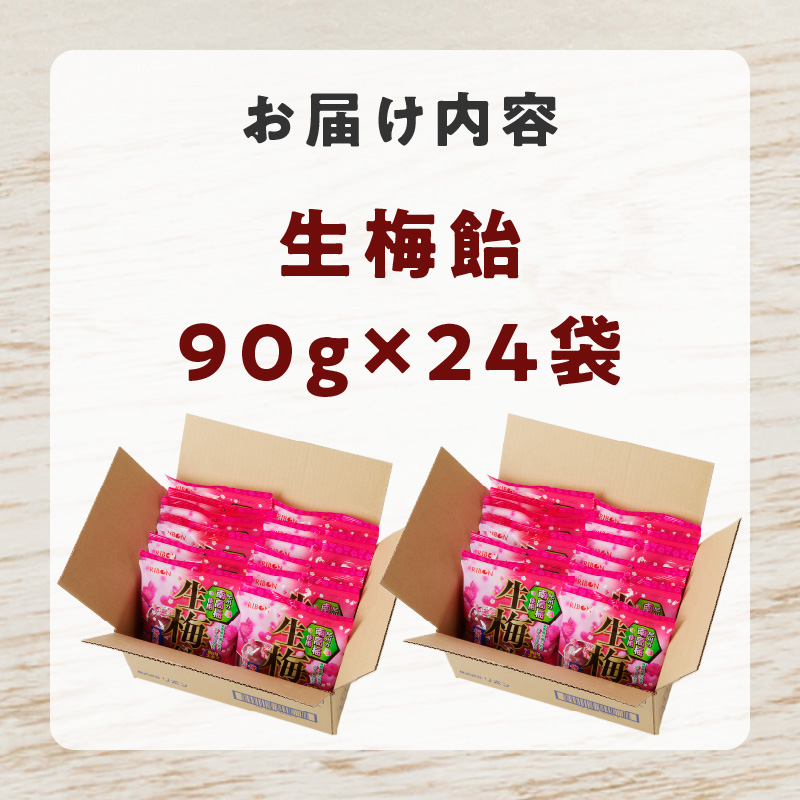 生梅飴 梅キャンディ 梅飴 紀州 南高梅 梅肉エキス ペースト お菓子 あめ キャンディー 飴 個包装 袋 リボン RIBON