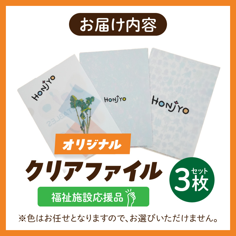 ★福祉施設応援品★ オリジナルクリアファイルセット（３枚入り）
