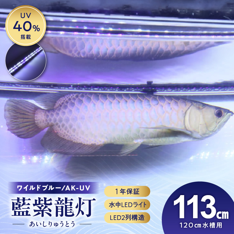 スリム&高耐久!金龍を美しく、UV-Aチップ配合の水中LED|AK-120UV-EX