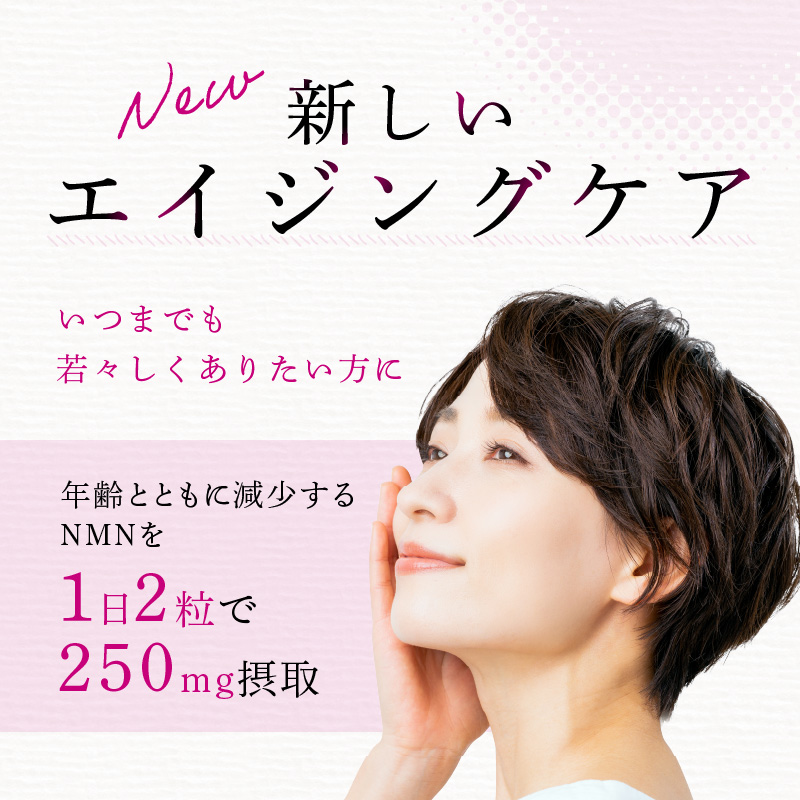 ＜12ヶ月連続定期便＞NMN