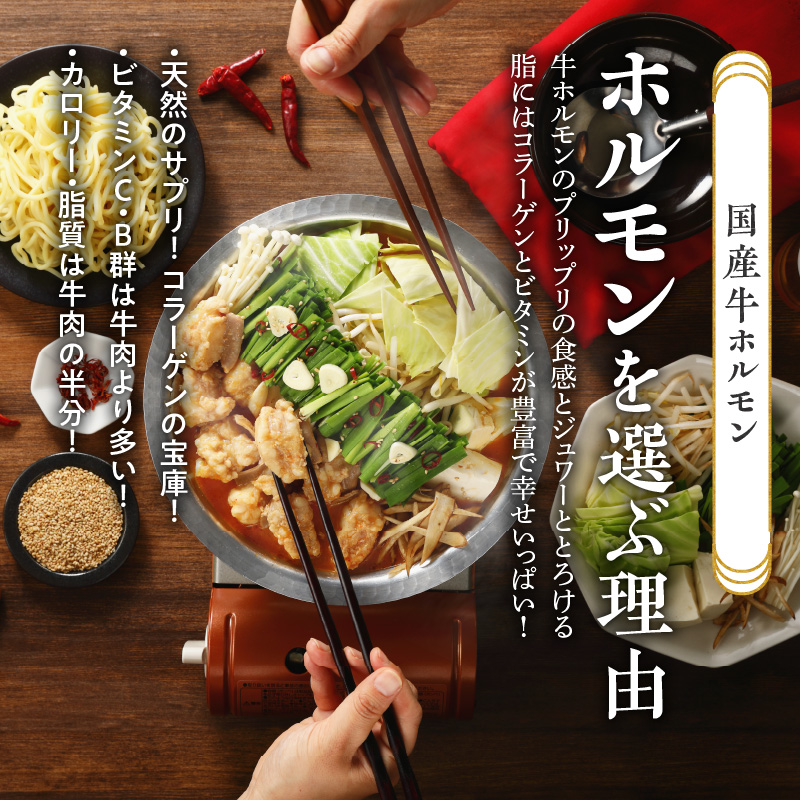 山樹のピリ辛味噌もつ鍋　２～３人前セット