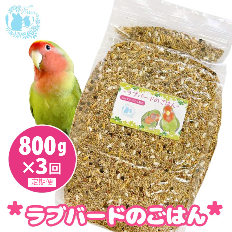 【3ヶ月定期便】fuu ラブバードのごはん（800g）