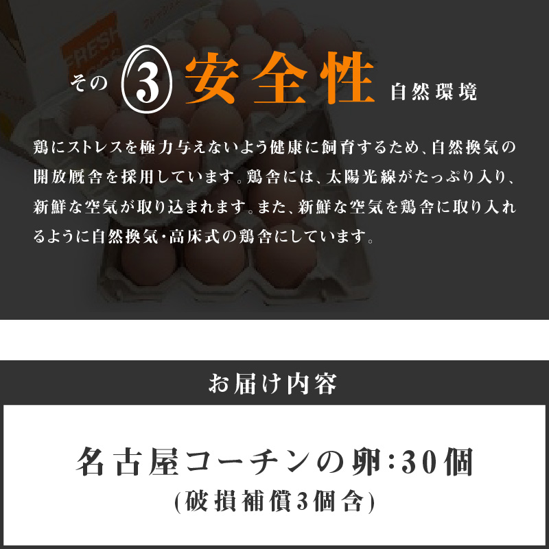 名古屋コーチン卵（30個入り)