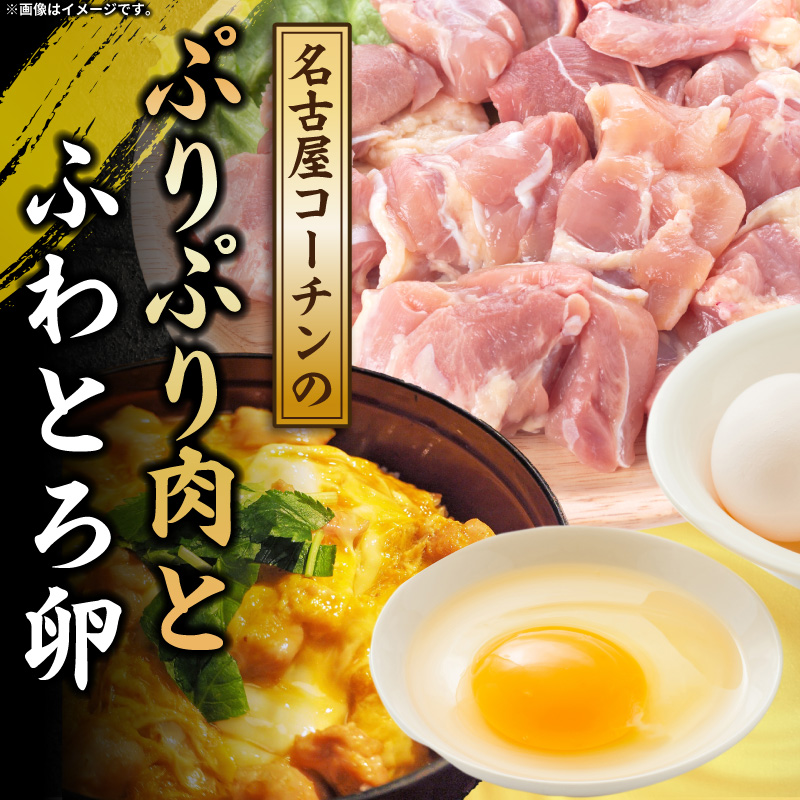 【名古屋コーチン入り】駒来しいたけの駒丼（こまどん）