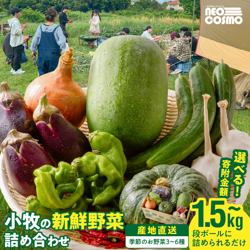 ★障がい者支援施設応援品★ ネオコスモ農園で採れた小牧の野菜詰め合わせ