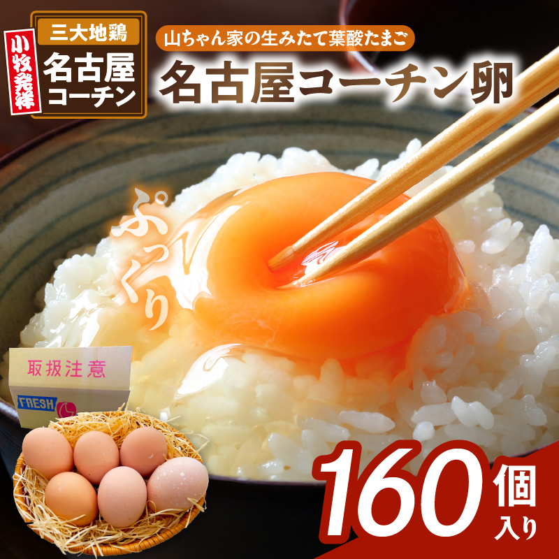 【山ちゃん家の生みたて葉酸たまご】名古屋コーチン卵（160個入り）　［ 新鮮 産地直送 大容量 高級 地鶏 たまご 卵 玉子 タマゴ 葉酸卵 妊娠中 高齢者 朝食 卵料理 卵かけご飯 卵焼き 目玉焼き 山田養鶏 お取り寄せグルメ ］