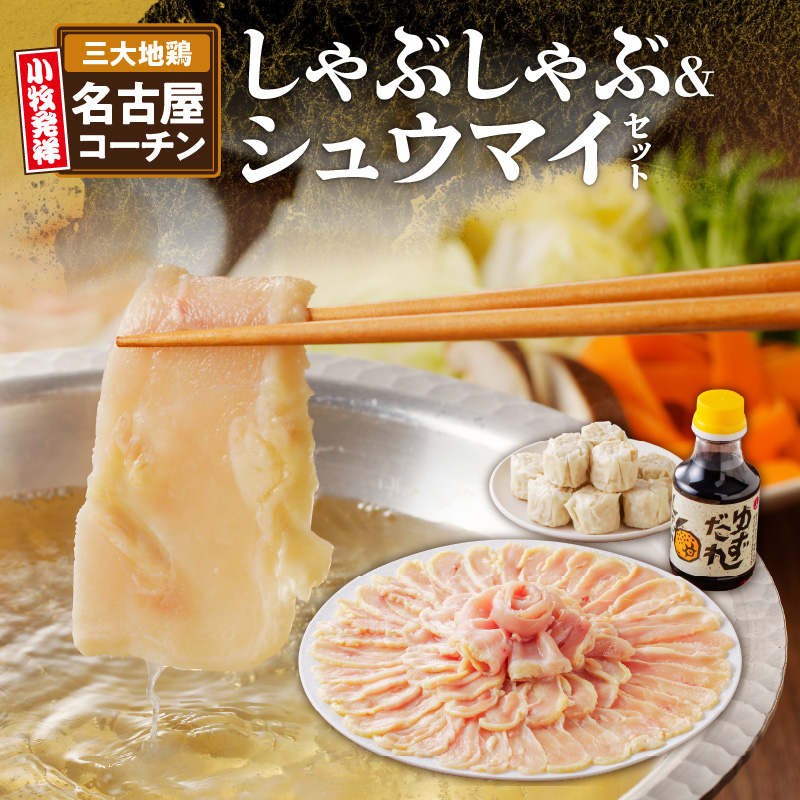 名古屋コーチンしゃぶしゃぶ＆コーチンシュウマイセット 日本三大地鶏 鶏しゃぶしゃぶ 鍋セット 鶏肉 鍋料理