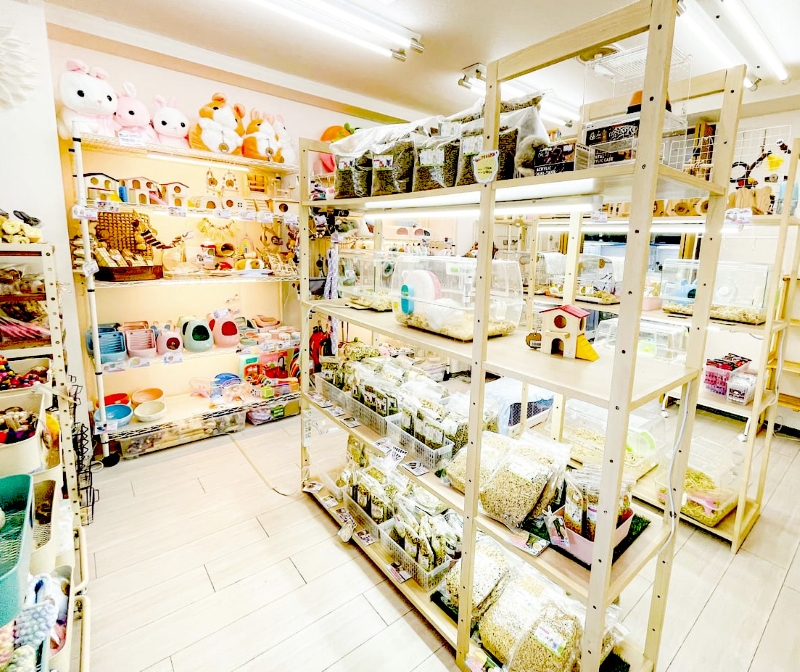 shop fuuで使えるクーポン券（10,000円）