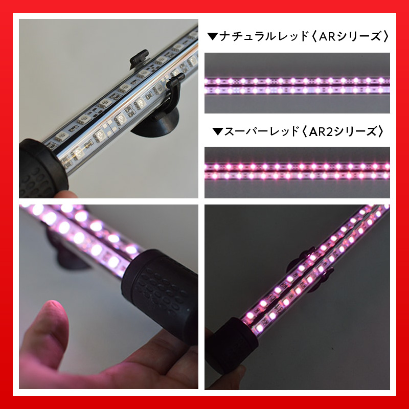 変化を体感!水を赤くせず、紅龍だけ美しく魅せる水中LEDライト|AR120-EX