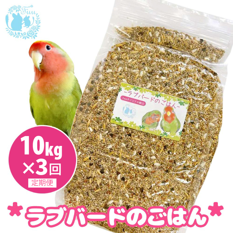 【3ヶ月定期便】fuu ラブバードのごはん（10kg）