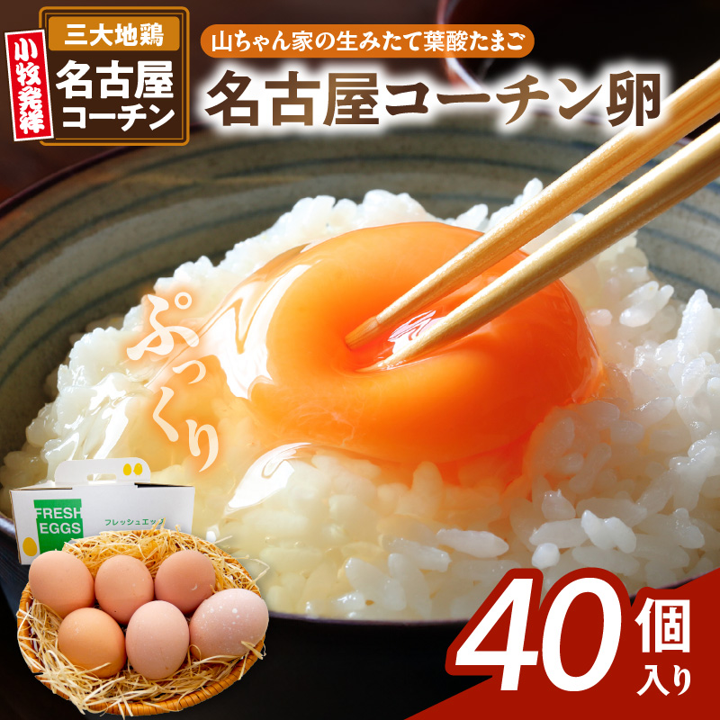 【山ちゃん家の生みたて葉酸たまご】名古屋コーチン卵（40個入り）　［ 新鮮 産地直送 大容量 高級 地鶏 たまご 卵 玉子 タマゴ 葉酸卵 妊娠中 高齢者 朝食 卵料理 卵かけご飯 卵焼き 目玉焼き 山田養鶏 お取り寄せグルメ ］