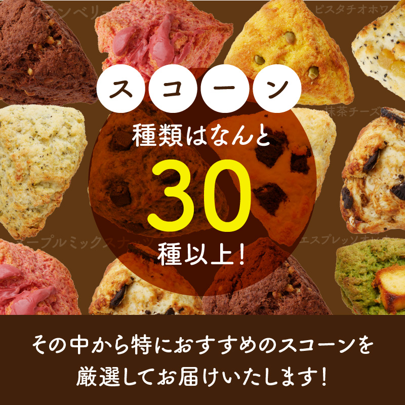【ザクザクスコーン】ベーグル専門店pan de pan 888のおまかせスコーンセット（10個入り）［焼きたてスコーン オリジナルスコーン 人気 季節限定 食べ比べ 詰め合わせ 菓子 パン 抹茶 チョコレート］
