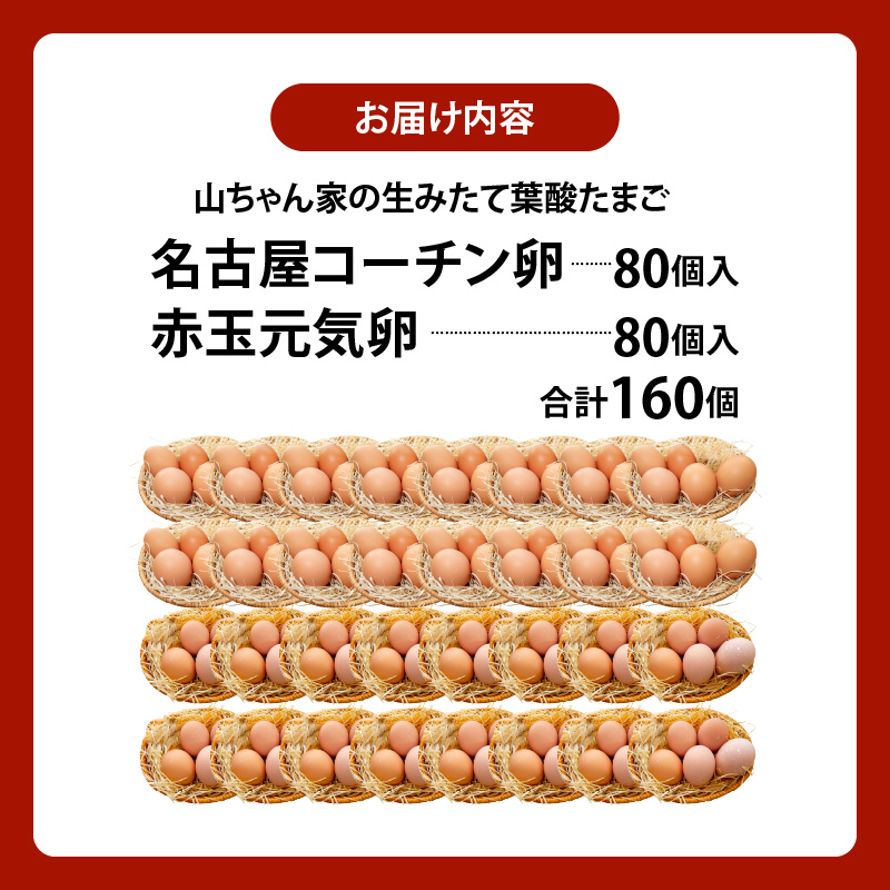【山ちゃん家の生みたて葉酸たまご】名古屋コーチン卵・赤玉元気卵 食べ比べセット（各80個 合計160個入り）