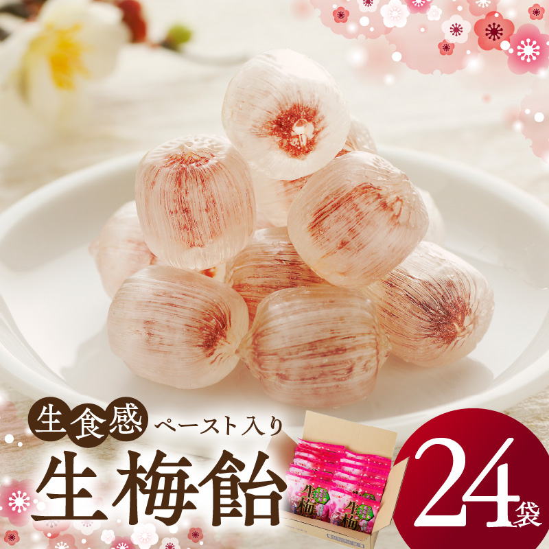生梅飴 梅キャンディ 梅飴 紀州 南高梅 梅肉エキス ペースト お菓子 あめ キャンディー 飴 個包装 袋 リボン RIBON