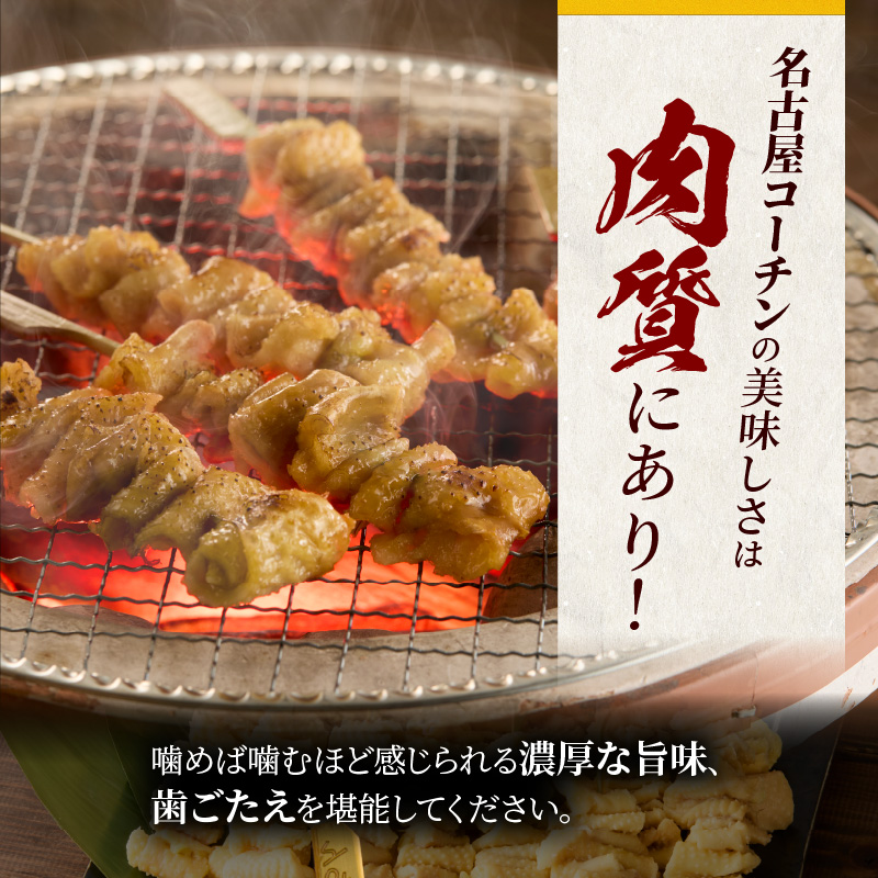 名古屋コーチン焼鳥　皮串20本セット