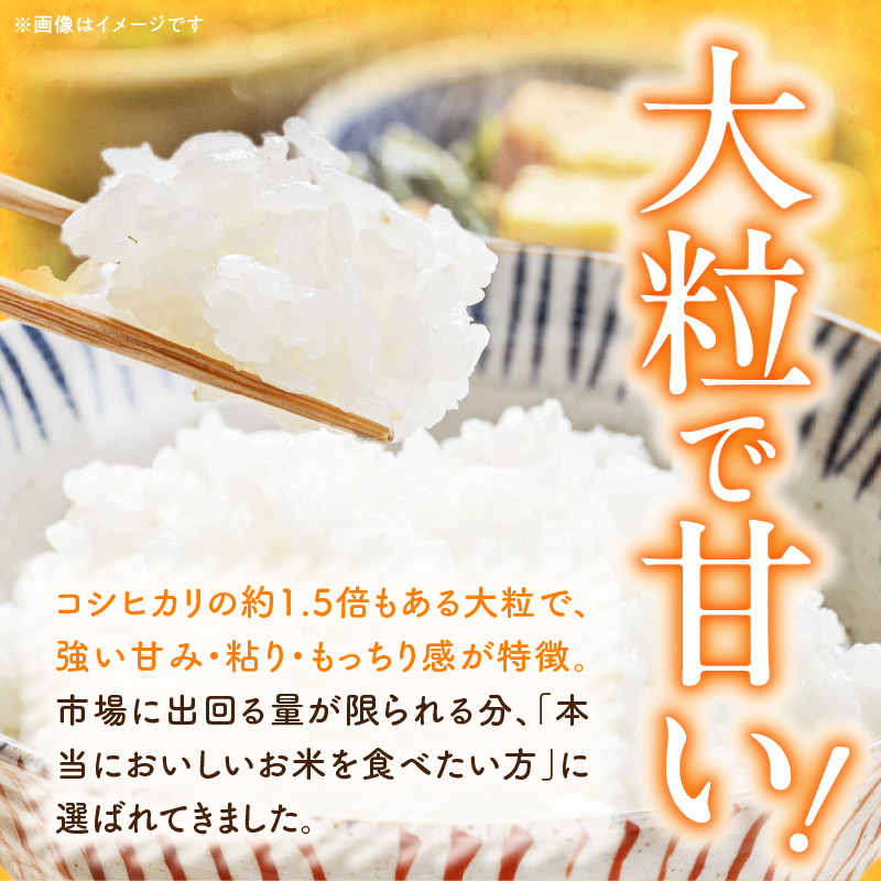 R7年産　「いのちの壱」（15kg）＜農家直送＞［208K11］