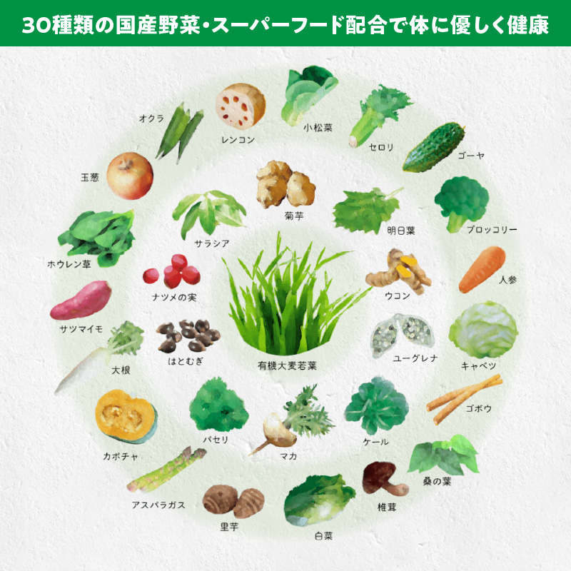 ＜2ヶ月に1度、6回送付定期便＞国産有機大麦若葉＆３０種の野菜