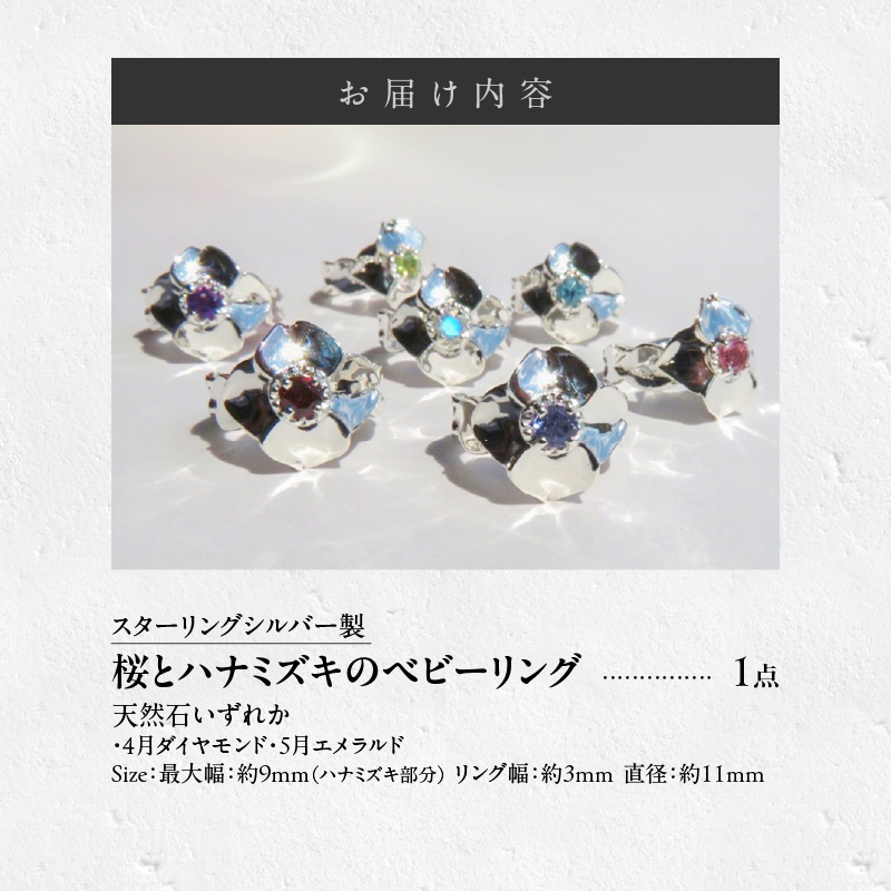 SV 桜とハナミズキのベビーリング（5月）