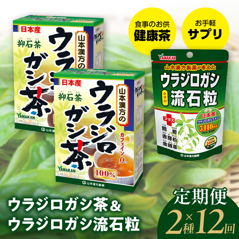 ＜12ヶ月連続定期便＞ウラジロガシ茶＆ウラジロガシ 流石粒