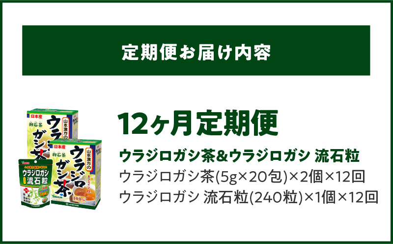 ＜12ヶ月連続定期便＞ウラジロガシ茶＆ウラジロガシ 流石粒