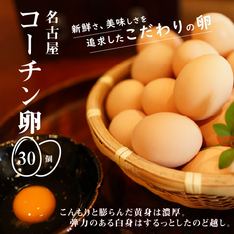 名古屋コーチン卵（30個入り)
