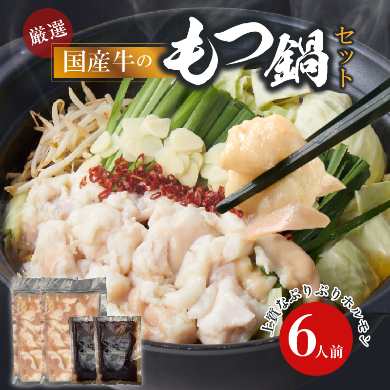 【食肉総合卸 丸正】厳選国産牛のもつ鍋セット（6人前）［153M17］