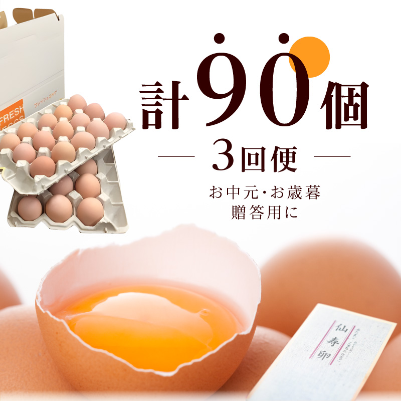 【3回便】名古屋コーチン卵(30個入り)×3回（計90個） ［006K01-T］
