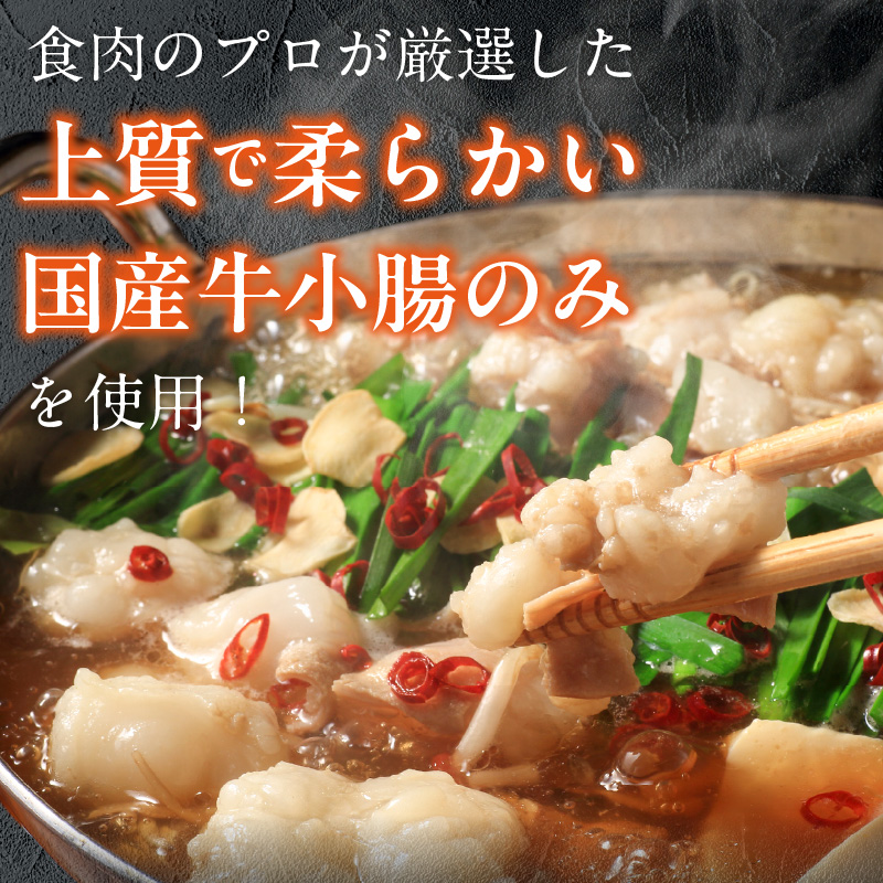 【食肉総合卸 丸正】厳選国産牛のもつ鍋セット（3人前）［153M16］