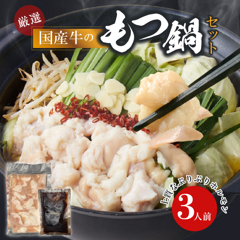 【食肉総合卸 丸正】厳選国産牛のもつ鍋セット（3人前）［153M16］