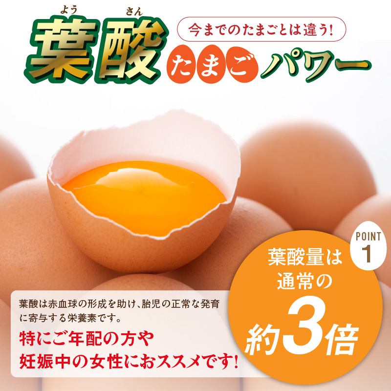 【山ちゃん家の生みたて葉酸たまご】名古屋コーチン卵・赤玉元気卵 食べ比べセット（各40個 合計80個入り）