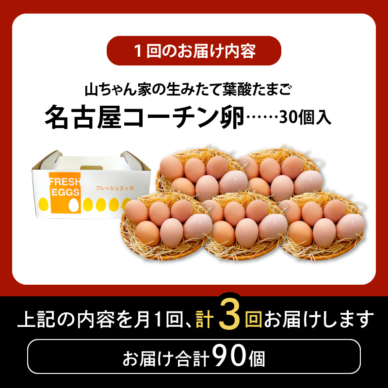 【3ヶ月定期便】【山ちゃん家の生みたて葉酸たまご】名古屋コーチン卵（30個入り）