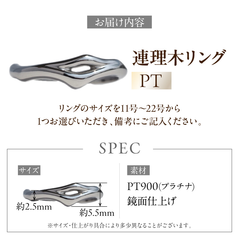 PT連理木リング〈2.5mm-5.5mm幅〉(14号) ［016K33-04］