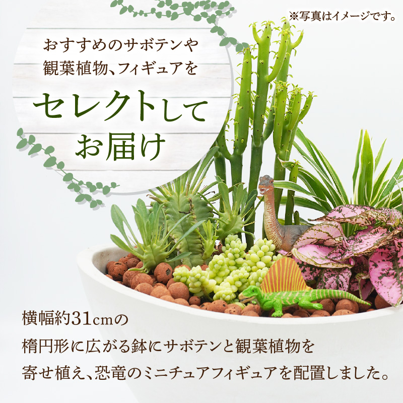 サボテンと観葉植物のオリジナル寄せ植え【恐竜セット】［ 本格サボテン 産地直送 フィギュア インテリア ギフト プレゼント オシャレ かわいい 人気 多肉植物 ］