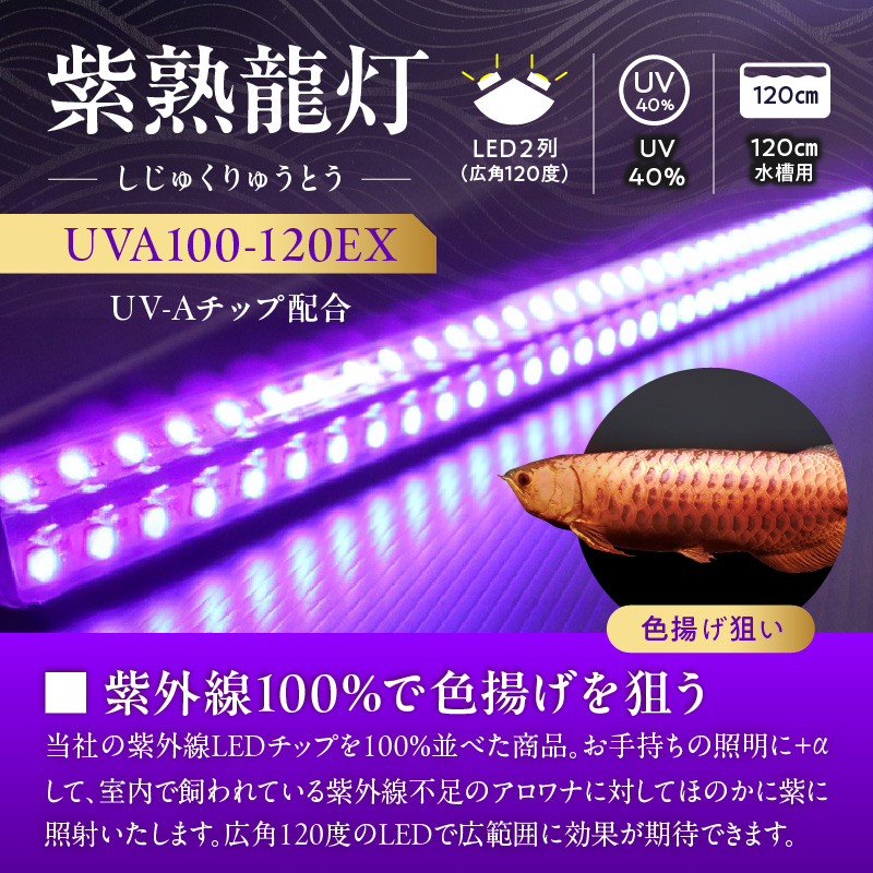 紫外線100%LEDで紅龍・金龍の色彩を引出す水中ライト|UVA100-120EX