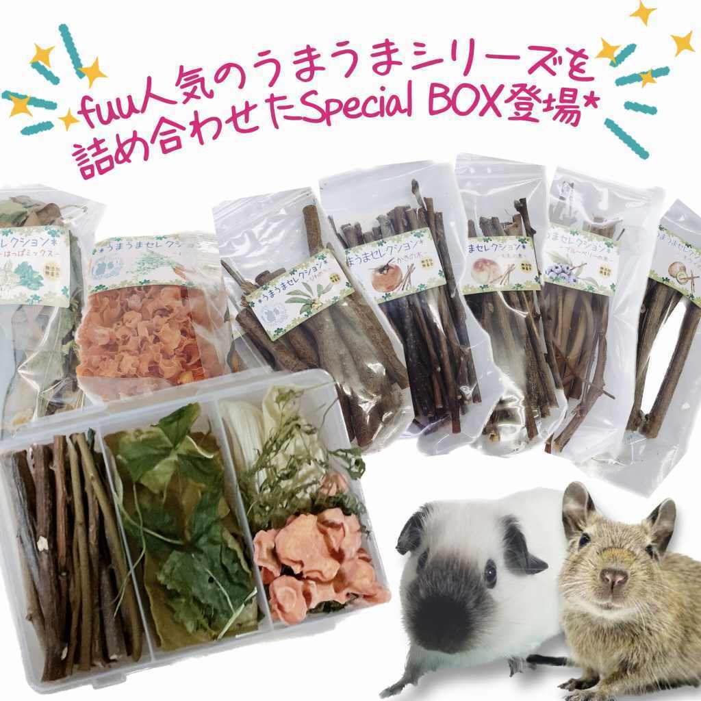 fuu 小動物のかじり木・おやつ　SpecialアソートBOX（1個）　［ 小動物 野菜 野草 果樹 国産 葉っぱ ナチュラル 無添加 無着色 ペットフード ごはん おやつ エサ えさ 餌 詰め合わせ ］