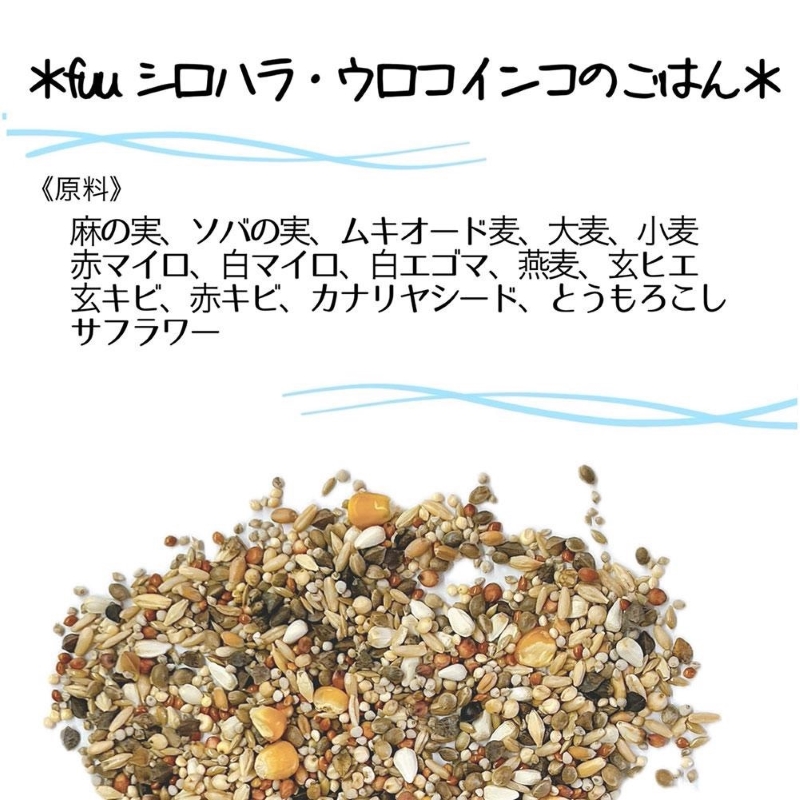 【3ヶ月定期便】fuu シロハラインコ・ウロコインコのごはん（400g）