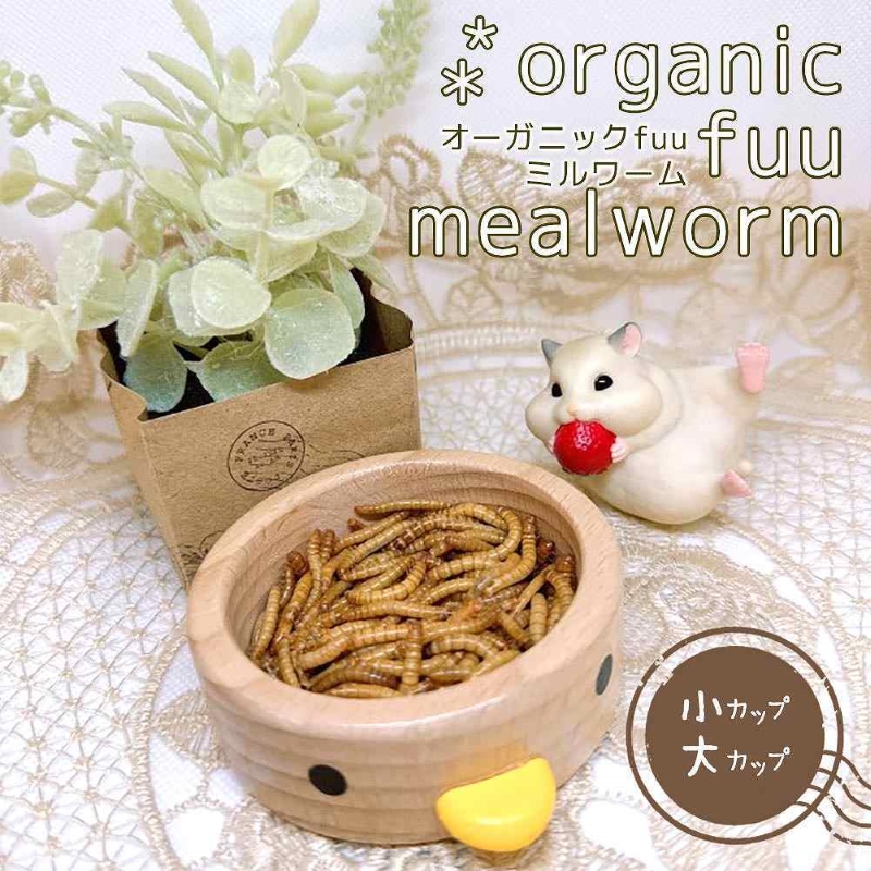 fuu オーガニックfuuミルワーム（小）［ カップ入り 生き餌 活き餌 活エサ えさ 小動物 小鳥 フード おやつ 栄養 たんぱく質 ミネラル ハリネズミ モモンガ 爬虫類 両生類 熱帯魚 ］