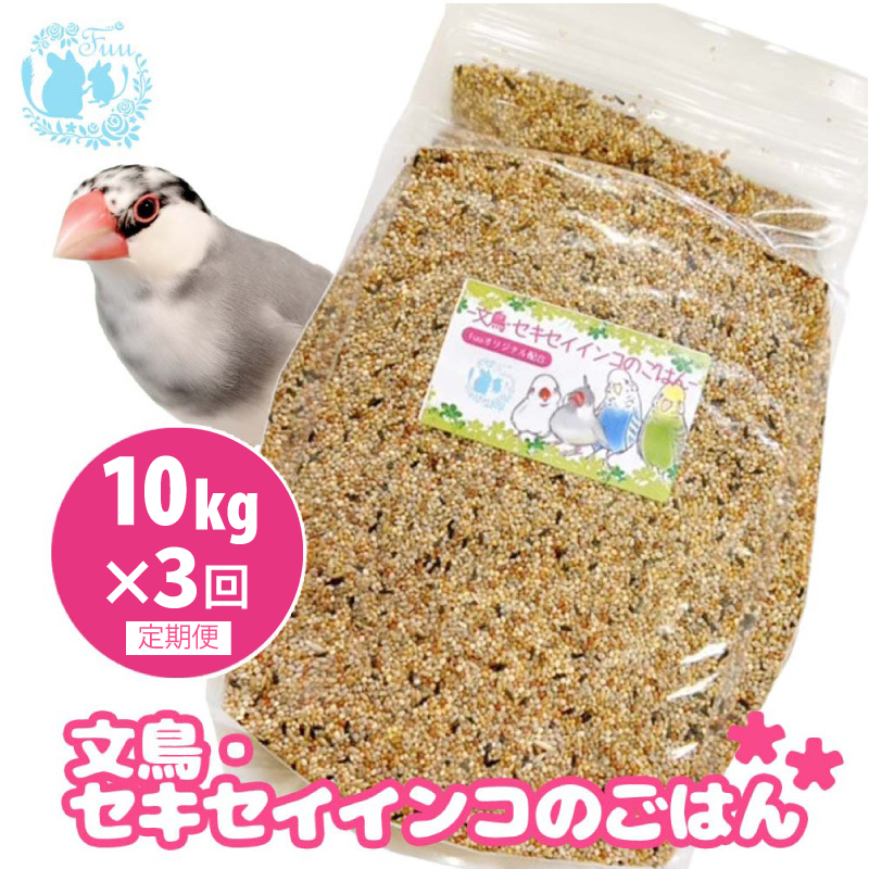 【3ヶ月定期便】fuu 文鳥・セキセイインコのごはん（10kg）