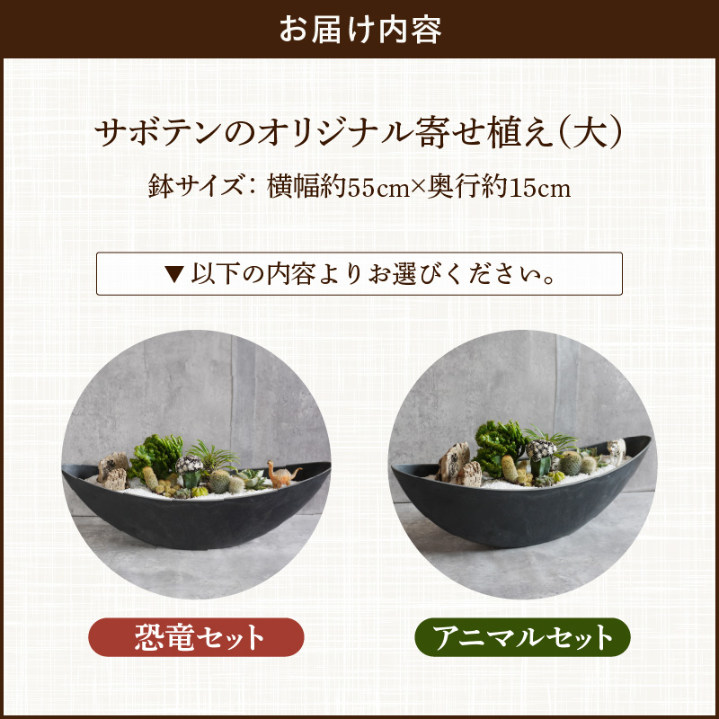 サボテンのオリジナル寄せ植え（大）【恐竜セット】