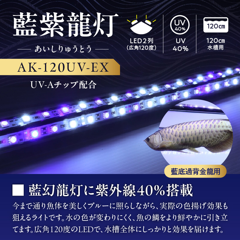 スリム&高耐久!金龍を美しく、UV-Aチップ配合の水中LED|AK-120UV-EX