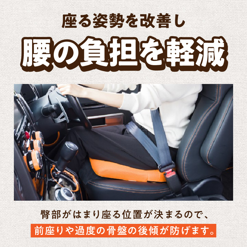 車でもスポッとクッション(ブラック)
